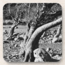 Pesquisar por sem vento porta copos Natureza