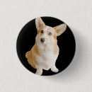 Pesquisar por corgi botons Fofo