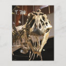 Pesquisar por tyrannosaurus rex cartoes postais Pré histórico