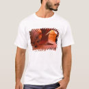 Pesquisar por arenito camisetas Vermelho