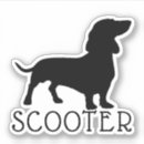 Pesquisar por dachshund Cachorro