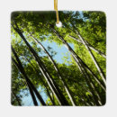 Pesquisar por bambu ornamentos Natureza