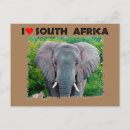 Pesquisar por elefante africano cartoes postais África