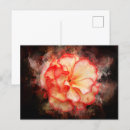 Pesquisar por begonia cartoes postais Flor