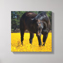 Pesquisar por cavalo preto impressão de canvas Eqüino
