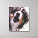 Pesquisar por collie impressão de canvas Animais