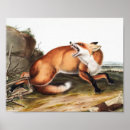 Pesquisar por ilustrativo pósteres Vintage