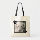 Pesquisar por pegada bolsas Mães