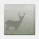 Pesquisar por veado selvagem imas Chifre