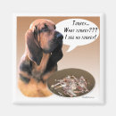 Pesquisar por sabão imas Cão