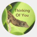 Pesquisar por gecko adesivos Réptil