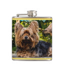 Pesquisar por design ouro cantis Qualquer pessoa