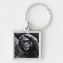 Pesquisar por do primata chaveiros Chimpanzé