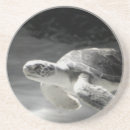 Pesquisar por turtle porta copos Praia