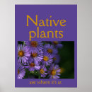 Pesquisar por planta nativa pôsteres pósteres Natureza