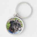 Pesquisar por filhote de cachorro do pug chaveiros Animais do bebê