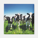 Pesquisar por agricultura imas Natureza