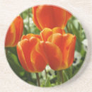 Pesquisar por tulipas porta copos Laranja