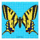 Pesquisar por desenho borboleta pôsteres pósteres Qualquer pessoa