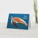 Pesquisar por turtle cartoes Tartaruga marinha