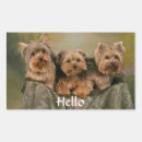 Pesquisar por filhotes cachorro papel adesivos Qualquer pessoa