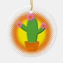 Pesquisar por cactus ornamentos Suculento