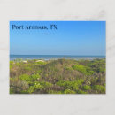 Pesquisar por arkansas cartoes postais Texas