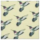 Pesquisar por rubi throated Verde