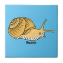 Pesquisar por caracol azulejos Fofofo