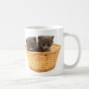 Pesquisar por gatinho macio canecas Felino