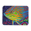 Pesquisar por animais marinhos imas Peixe