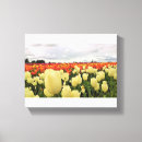 Pesquisar por arte da tulipa impressão de canvas Primavera