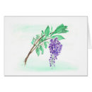 Pesquisar por glicínias cartoes postais Flora