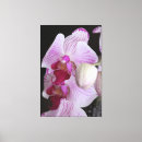 Pesquisar por flores exóticas impressão de canvas Rosa