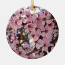 Pesquisar por florescência ornamentos Natureza