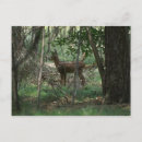 Pesquisar por bambi cartoes postais Floresta