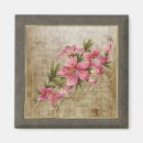 Pesquisar por floral antigo imas Rosa