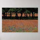 Pesquisar por florescer árvore pôsteres pósteres Campo