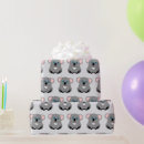Pesquisar por urso koala papel de presente Animais