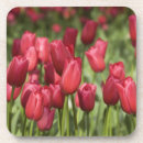 Pesquisar por holland porta copos Ie