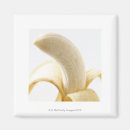 Pesquisar por fruta tropical imas Comida