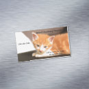 Pesquisar por serviços veterinários cartao de visita Cliente