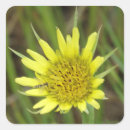 Pesquisar por com barba adesivos Qualquer pessoa