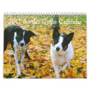 Pesquisar por reunião de border collie Cão