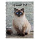 Pesquisar por ragdoll escritorio escola Animal