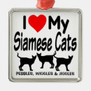 Pesquisar por ame meu gato Para pets