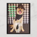 Pesquisar por gato gordo cartoes postais Humor