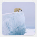 Pesquisar por de steve adesivos Animal