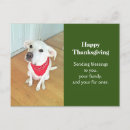 Pesquisar por freiras engraçadas cartoes postais Para todos