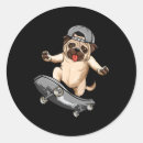 Pesquisar por sk8 adesivos Grunge